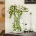 Clear Glass Vases Flower Vases for Centerpieces 9" Large Glass Cylinder Vase for Home Wedding Party Events Office Entryway